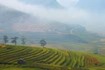Mùa vàng Tú Lệ đẹp ngỡ ngàng khiến bạn muốn "quẩy" luôn