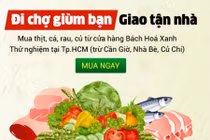 Đi chợ hộ tăng mạnh tại TP HCM: Chọn App nào tiện, nhanh?