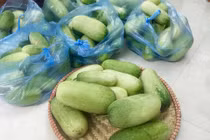 "Phát sốt" với dưa chuột độc lạ 2 kg/quả, giá gấp 3 lần dưa thường