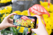 Lưu trọn khung hình ngày Tết bằng Galaxy A8/A8+