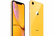 Đúng như dự báo, iPhone XR có hiện tượng “cháy hàng”