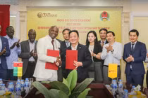 T&T Group dự kiến mua toàn bộ sản lượng hạt điều thô của Guinea Bissau