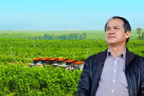 Bầu Đức muốn có thêm tiền trồng ớt, chuối…nhưng bất thành