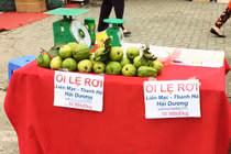 Ổi “Lệ Rơi” độc, lạ đắt hàng như tôm tươi 