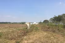 KĐT “ma” Nhơn Trạch: La liệt dự án bỏ hoang, chung cư không người ở