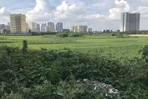 Những khu đất dự án Hà Nội bị dừng hoạt động giờ ra sao?
