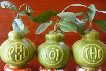 Chùm ảnh loại trái cây tạo hình độc lạ trưng Tết