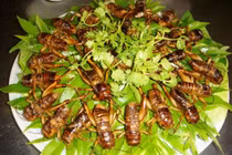 Món đặc sản vừa ăn vừa run ở Long Khánh