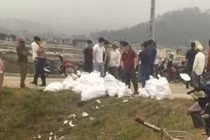 Phá đường dây ma túy cực lớn, bắt 3 đối tượng và thu giữ gần 1 tấn ma túy đá