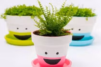 Tự trang trí chậu hoa để bàn siêu dễ thương