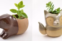 Loạt chậu hoa hình thú trang trí nhà đẹp mắt