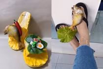 Loạt mẫu dép độc đáo hình rau củ quả khiến ai cũng thích thú