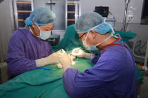 Những tai nạn 'cậu nhỏ' khó đỡ nhất trong thời gian vừa qua