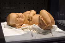Giật nảy mình khi thấy những chiếc bánh ngọt kỳ lạ này