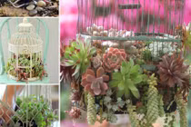 Bật mí cách biến lồng chim cũ thành giỏ hoa trang trí