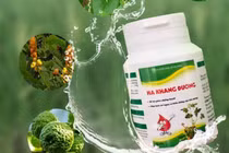 TPBVSK Hạ khang đường bị cảnh báo vi phạm qui định quảng cáo thế nào?