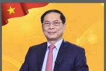 [Infographic] Tiểu sử tân Phó Thủ tướng Bùi Thanh Sơn