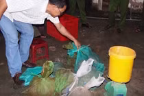 Video: Phát hiện kho tê tê, rắn hổ mang chúa nuôi tại nhà dân