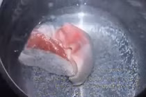 Video: Những điều sai lầm khi luộc thịt lợn cần loại bỏ ngay