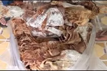 Mực khô giả, nướng mùi khét như cao su bày bán tràn lan 