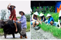 3 loại hình du lịch dân dã của VN hút khách Tây