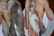 “Hô biến” mực thối thành mực tươi ngon mắt nhờ hóa chất