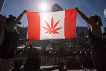 Vượt mặt Mỹ, Canada hợp pháp hóa cần sa từ tháng 10