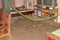 Vụ sát hại bố mẹ do ngáo đá: Hung thủ mới đi tù về