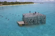 Phòng trưng bày nghệ thuật thủy triều độc đáo ở Maldives