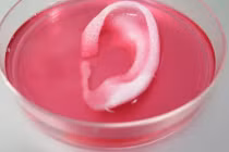 5 năm tới sẽ có máy in 3D in được cơ thể người