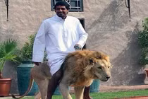 Ảnh độc chỉ có ở Dubai
