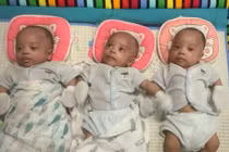 3 năm không có con, chồng làm điều này...vợ sinh liền 3 bé