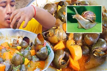 Hãi hùng món ốc sên hầm kinh dị lại có vị ngon hơn dê