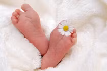 Căn nhà bốc mùi lạ, hàng xóm tò mò phát hiện điều kinh ngạc
