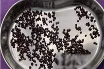 Đau bụng nửa năm, đi khám phát hiện điều kinh dị 