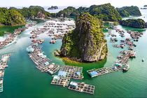 Làng chài Cửa Vạn “viên ngọc ẩn” giữa lòng vịnh Hạ Long