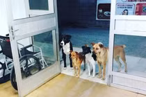 Người lang thang ốm nhập viện, khó tin điều này xuất hiện...
