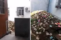 Thuê trọ không nhìn xung quanh, cô gái kinh hãi phát hiện... 