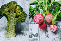Những màn chạm khắc cực độc trên rau củ quả 