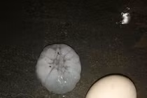 Mưa đá to như quả trứng gà dội xuống Lào Cai do không khí lạnh