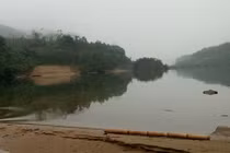 Giám đốc Ban quản lý rừng phòng hộ “mất tích”