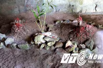 Kỳ bí 3 ngôi mộ cổ bị trói trong Hang Ma Cúc Phương 