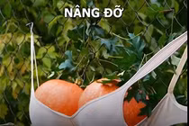 Video: Mê mẩn mẹo và thủ thuật làm vườn cho hội nghiện cây
