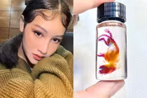 Video: Cô nàng 10X có đam mê độc lạ với “tiêu bản nhuộm xương” động vật