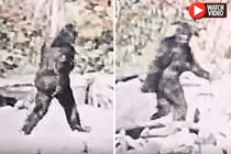 "Nảy lửa" tranh cãi bằng chứng rõ ràng nhất về quái vật Chân to
