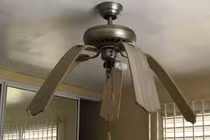 Loạt khoảnh khắc ngày nắng nóng khiến bạn chỉ muốn ruồng rẫy mùa hè