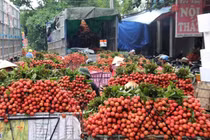 Bắc Giang vào cuộc thông tin vải thiều bị ép giá xuống 2.000 đồng/kg