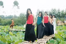 Du khách tới tham quan đầm sen bát ngát ở Bắc Giang