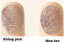 Nhìn vào số hoa tay biết ngay tính cách