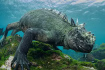 Quái vật Godzilla ngoài đời thực hóa ra ở ngay gần con người
